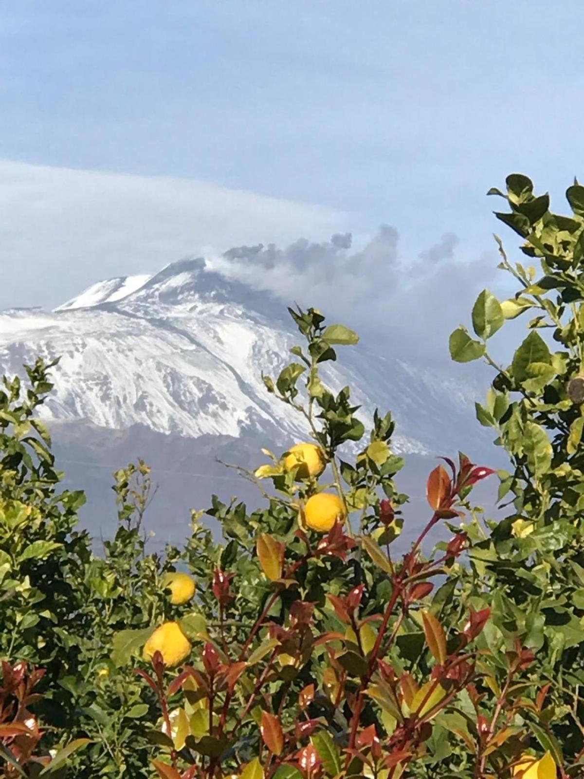 Апартаменты Vista Mare Etna Ачиреале Экстерьер фото